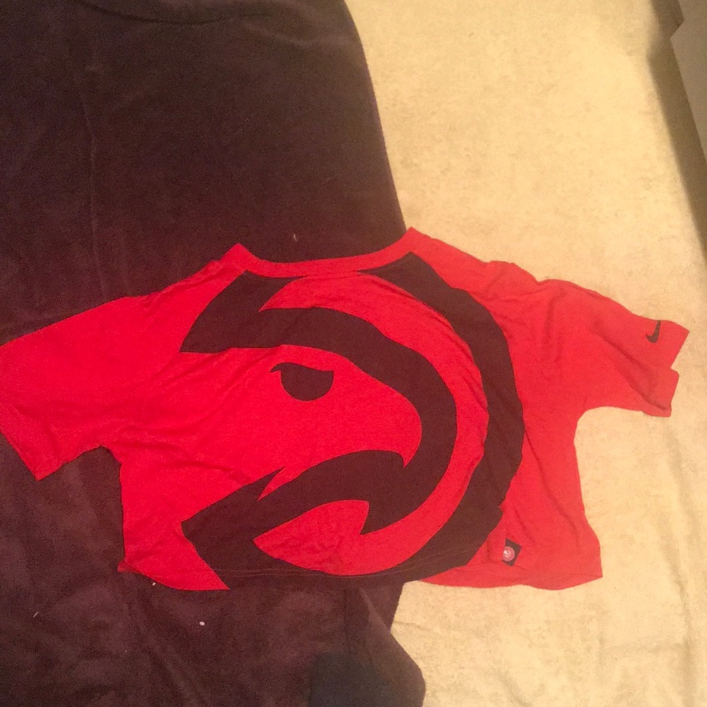 Atlanta hawks Crop top